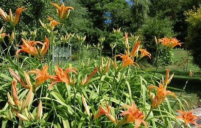 Blumenausstellung von Sandringham