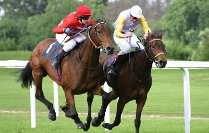 Cheltenham Racecourse Das Festival