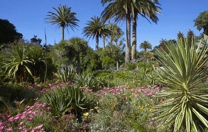 RHS Malvern Spring Festival