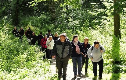 Swanage &amp; Purbeck Walking Festival